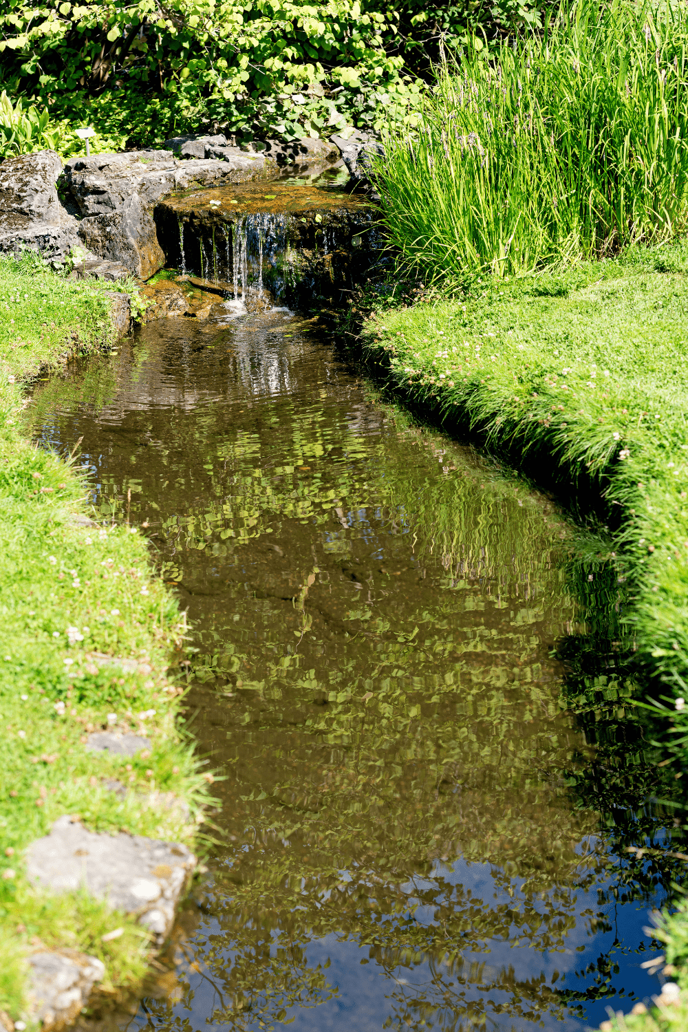 Backyard stream idea 19