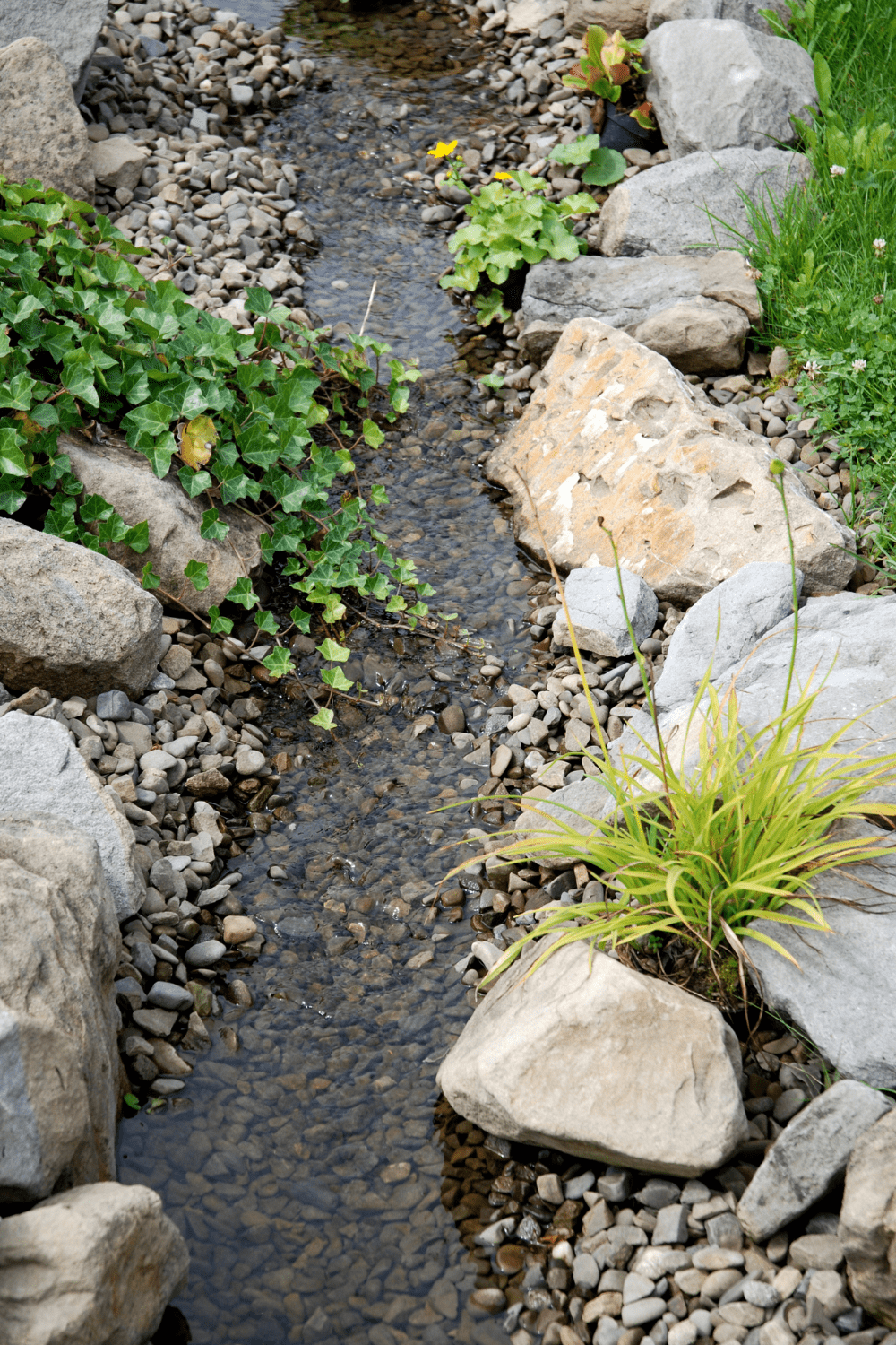 Backyard stream inspiration 20