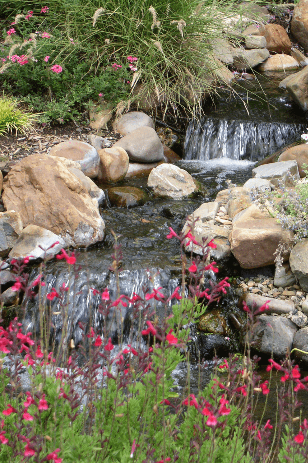 Backyard stream idea 22