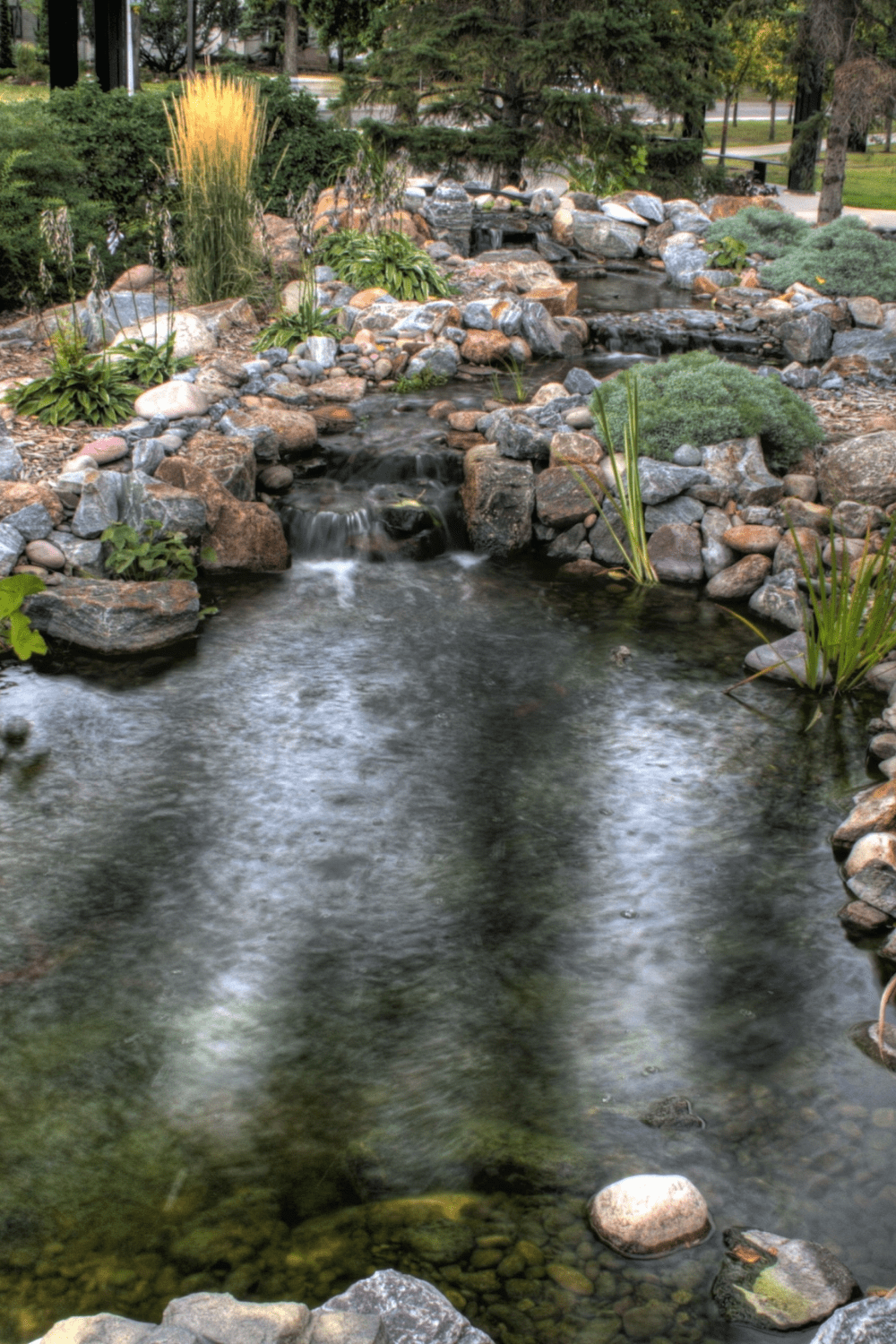 Backyard stream idea 7