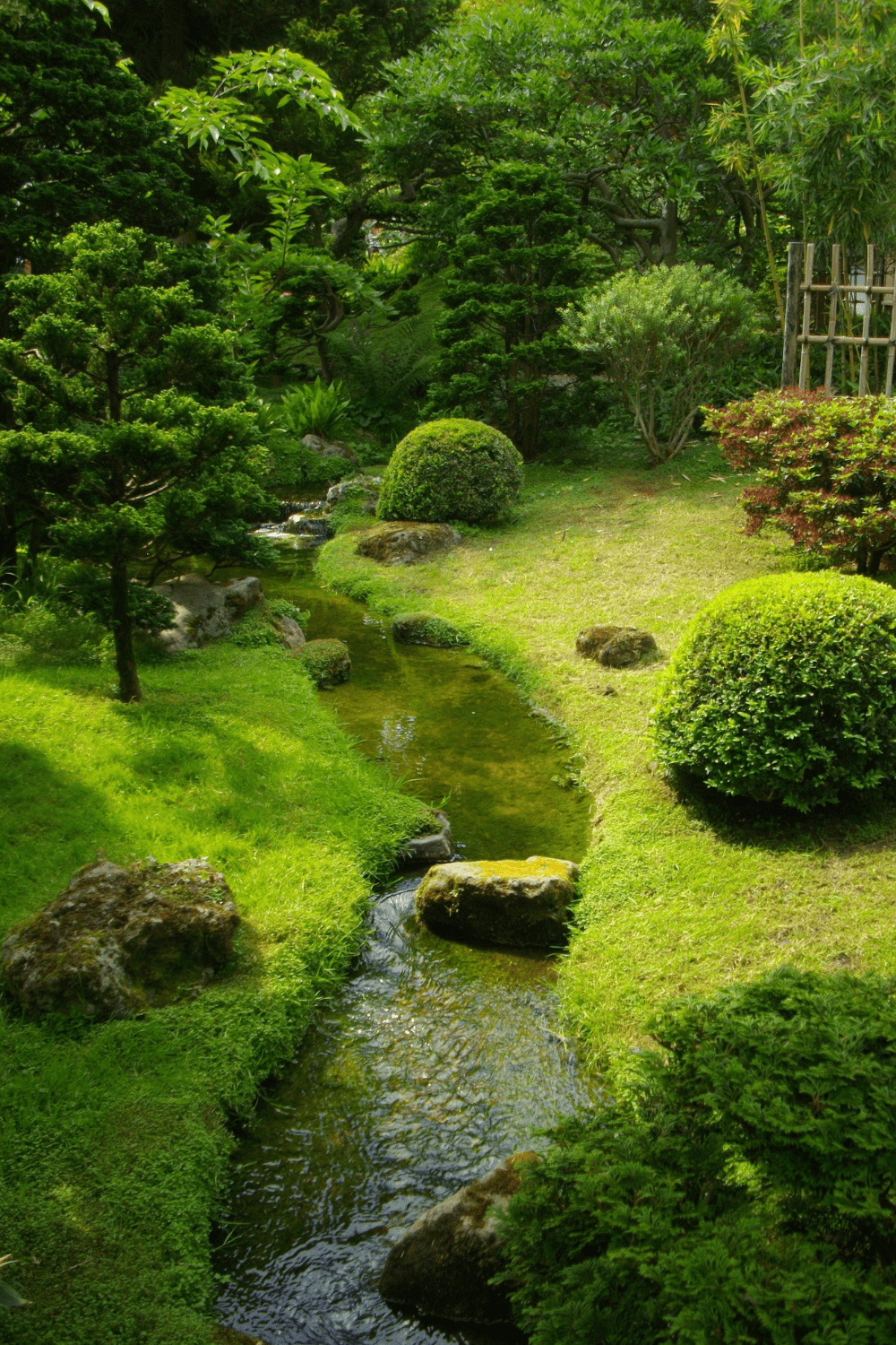 Backyard stream inspation 8