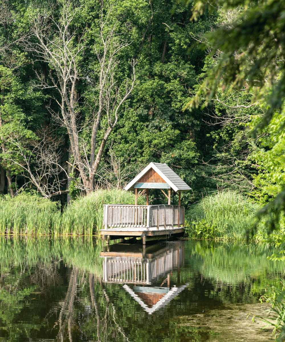 Pond dock idea 10