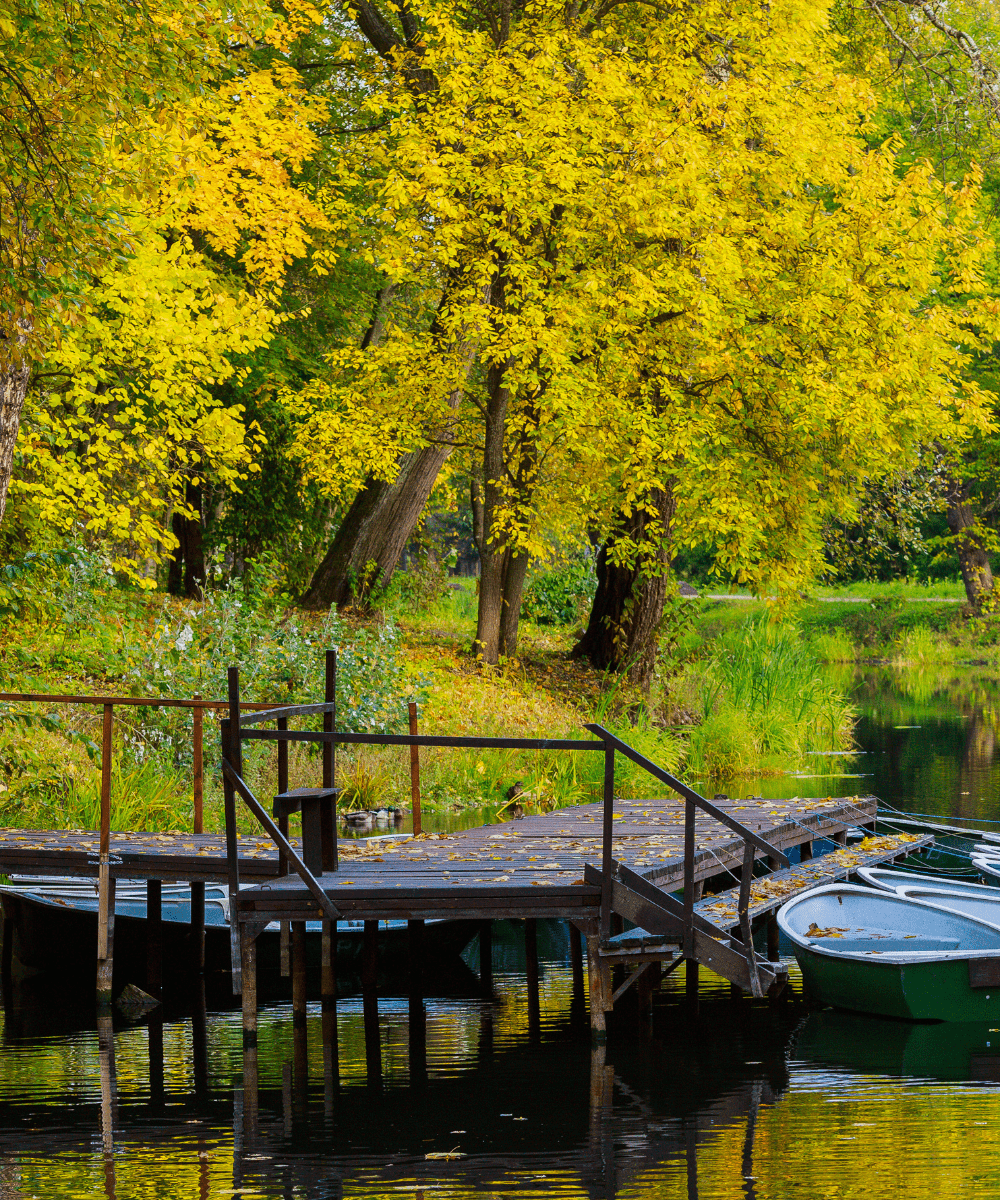 Pond dock idea 14