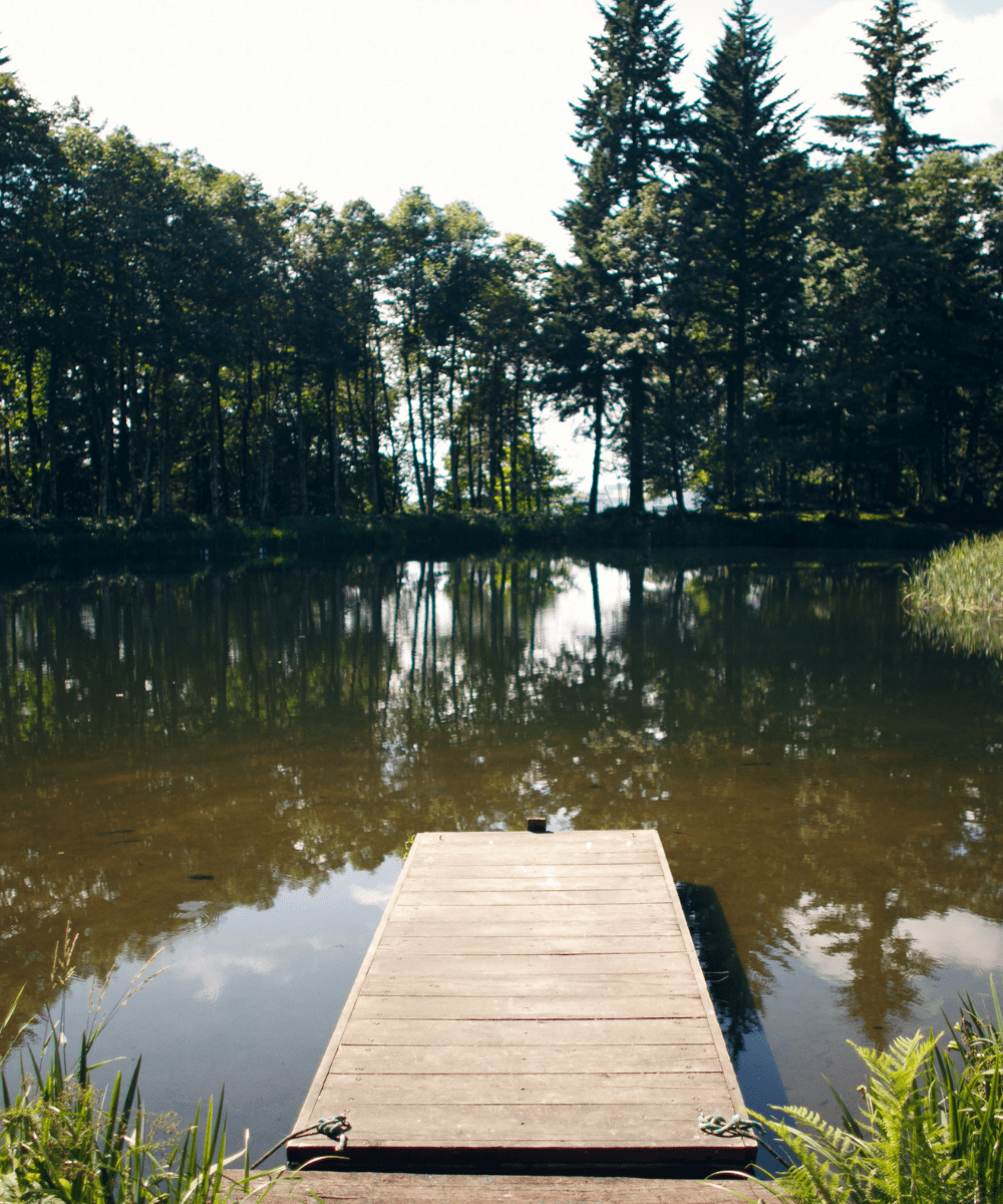 Pond dock idea 18